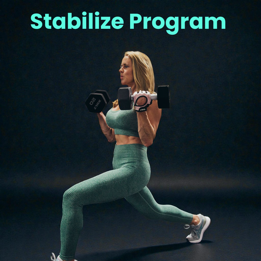 PDF Stabilize Program Only